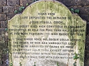 Cook, John Finall (id=8596)